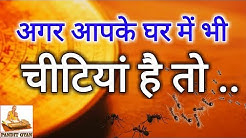 अगर आपके घर में भी चीटियां है तो समझ लीजिये होने वाला है कुछ ऐसा...