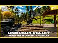 🌲🔥 Huge Forestry Expansion Begins! 😱 Umbreon Valley Is Changing! 🚜🪵