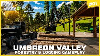 🌲🔥 Huge Forestry Expansion Begins! 😱 Umbreon Valley Is Changing! 🚜🪵
