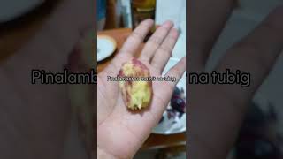 PILI | pili nut of the Philippines