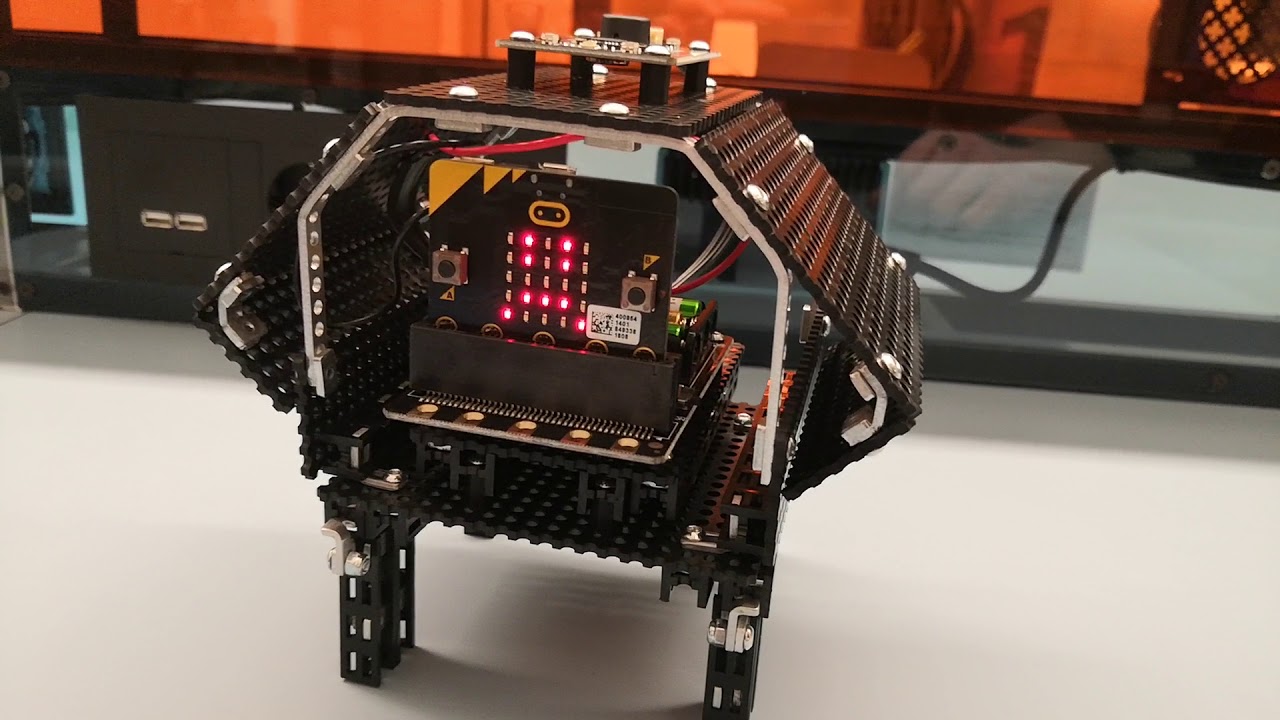 Tortoise Coding Bot Binary Bots -Tortoise doesnt work with the included code. - YouTube