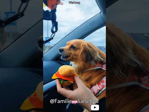 Werbung 🤩 die doggybag 🤩🍔🍟🧃