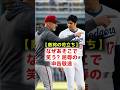 【ロブロ激怒】被弾したラウアーが絶句…!ベンチで大谷翔平が放った「まさかの一言」と敵将の不快感の真実 #大谷翔平 #ドジャース
