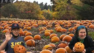 126 Santa Clara Fun at the Pumpkin Patch