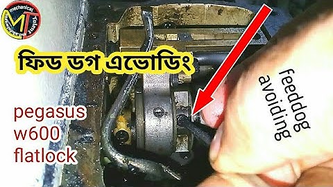 Feed dog avoiding pegasus w600 flatlock.