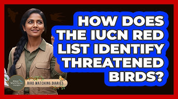 How Does The IUCN Red List Identify Threatened Birds? - Bird Watching Diaries