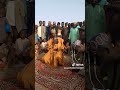 Malam Mai Murya Goma Malam Mai Murya Goma