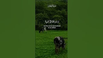 سورة آل عمران القارئ ياسر الدوسري 💚😌