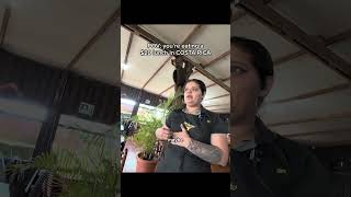 more expensive than the states 🏴‍☠️😭 #chunguspov #travelpov #pov