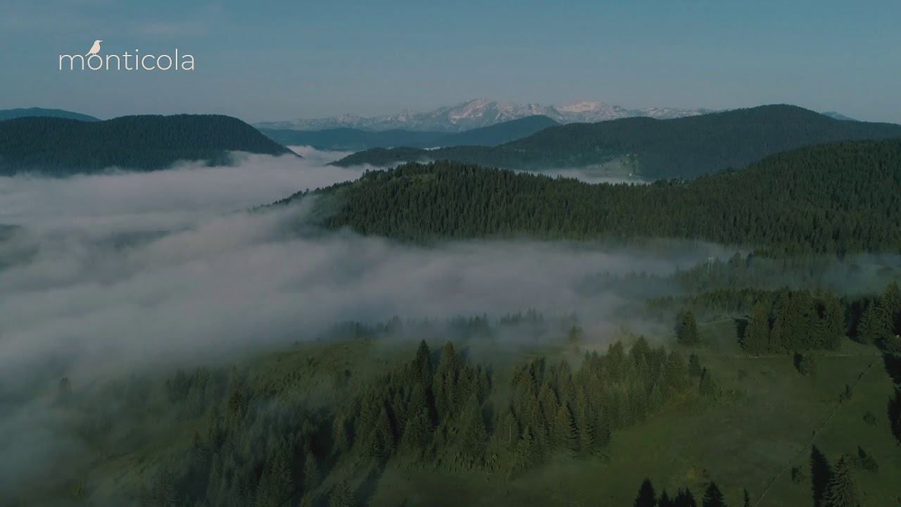 Monticola, North of Montenegro