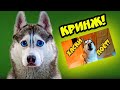 КРИНЖ! Смотрю свои первые видосы на канале! (Хаски Бандит) Говорящая собака