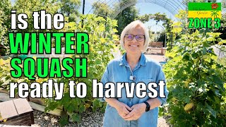 VEG GARDEN: Last Full Tour for 2026 | Cold Climate Garden
