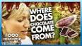 The Intriguing History of Chocolate ile ilgili video