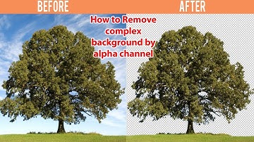How to remove tree background in Photoshop Bangla Tutorial