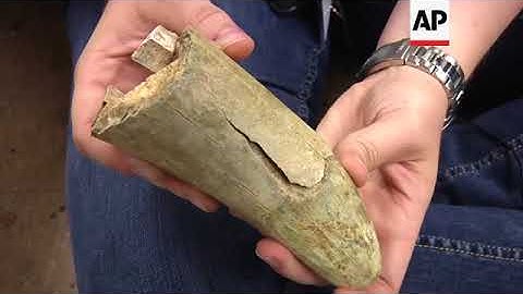 Subway Scientist Seeks Fossils Under Los Angeles