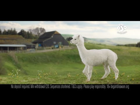 Discover the Best Low-Stakes Games for Casual Play at OJO Casino in Canada