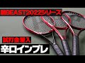 【テニス】新ビースト2022モデル直感インプレ！プリンス（PRINCE）BEAST100/最新テニスラケットインプレ〈ぬいさんぽ〉