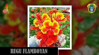 Yel yel Regu Flamboyan 2016