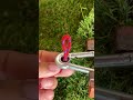Genius: He Created a Way to Lock a Rope With Just One Wrench #HawaiiFix #HandyTrick #BrilliantIdea