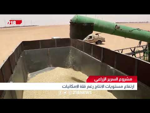 مشروع السرير الزراعي ارتفاع مستويات الإنتاج رغم قلة الإمكانيات ليبيا اليوم