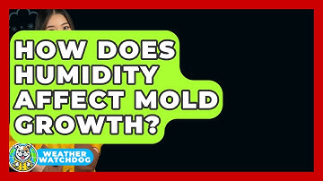 How Does Humidity Affect Mold Growth? - Weather Watchdog