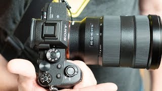 Sony RX100 VII review - Amateur Photographer