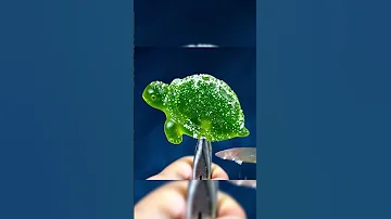 Turtle Vs Knife 