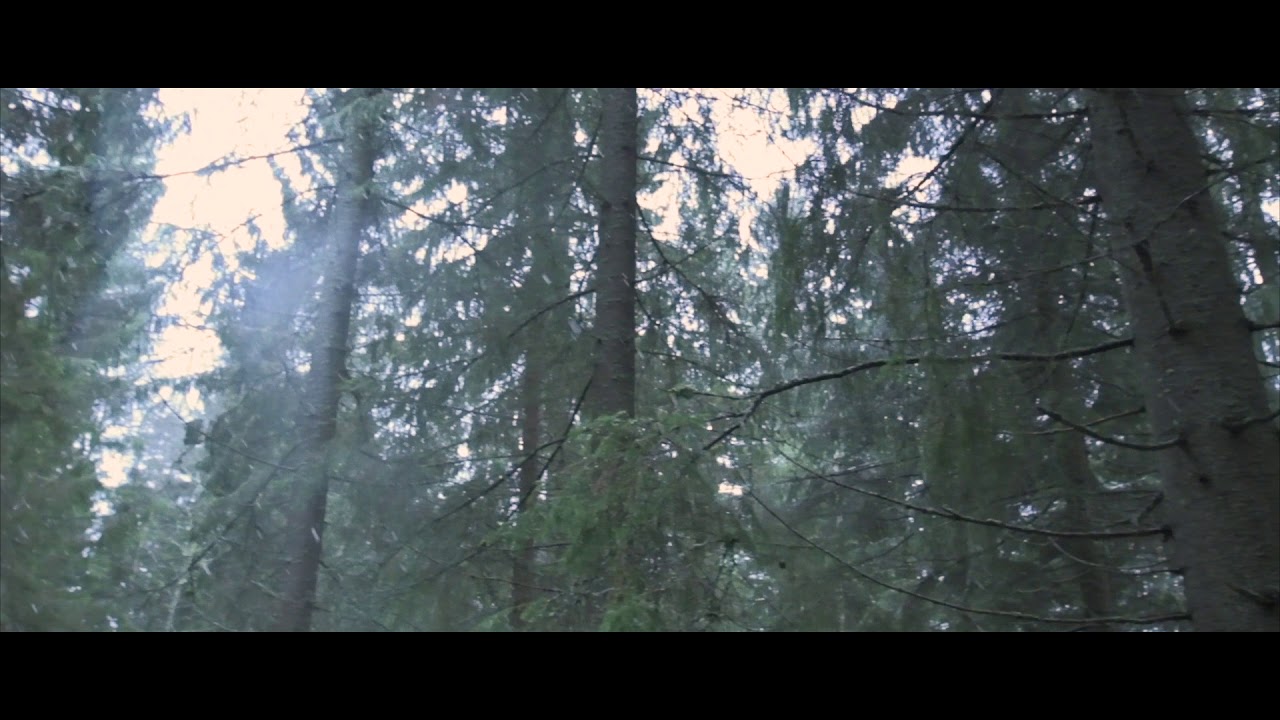 zhiyun weebill lab  |  test video