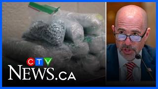 ‘More precursors’ of fentanyl production coming through Port of Vancouver, DEA says
