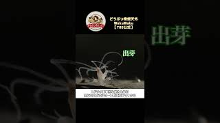 考えるいのち・ヒトの登場9.3 WoT:T110E3】ゆっくり実況でおくる戦車戦Part1348 byアラモンド