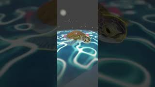 2022 Augmented Reality Test Note - Front View