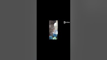 How Strategists Beat Cognitive Bias by Erokhane via NotebookLM 1