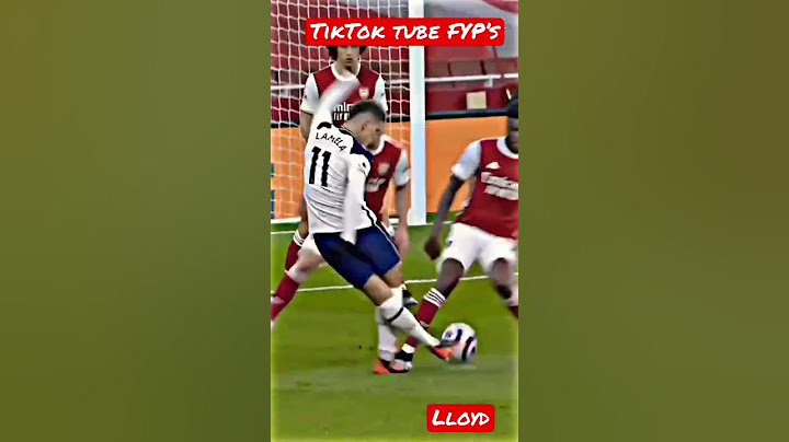 Incredible LAMELA