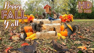 [10 Hours No Interruptions] TV for Dogs & Cats | Squirrels, Birds & Chipmunks enjoy Fall/Autumn