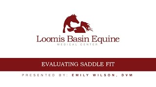 Loomis Basin Equine Medical Center - Evaluating Saddle Fit - Emily Wilson DVM