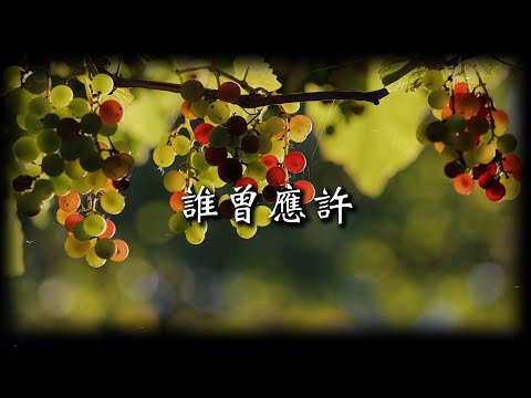 誰曾應許
