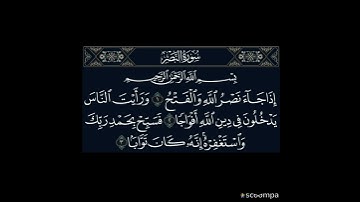 "سورة النصر" بصوت الشيخ ابو بكر الشاطري صوت جميل 🌹