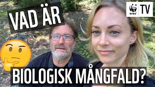 Biologisk mångfald - Vad är det och varför är det viktigt? | WWF TV