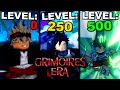 I spent 24 hours grinding to become the wizard king in roblox grimoire eraheres what happened