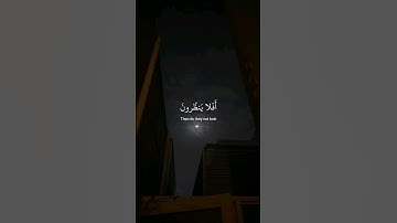 ﴿ أفلَا ينظرُون الى الإبلِ كيفَ خُلقت ﴾ سوره الغاشيه، عبدالرحمن مسعد#ارح_قلبك​ #قران_كريم #طمأنينة