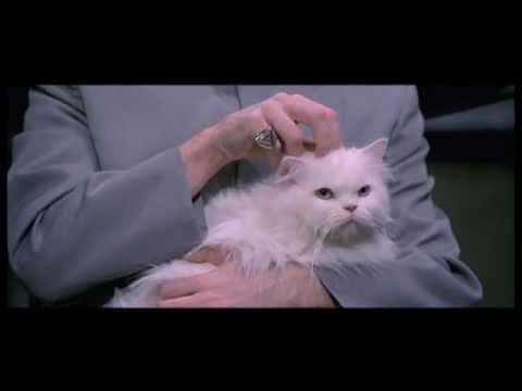 Movie Cat - Mr Bigglesworth gets upset