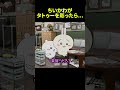 中国のちいかわがタトゥーを彫ったら... #ちいかわ