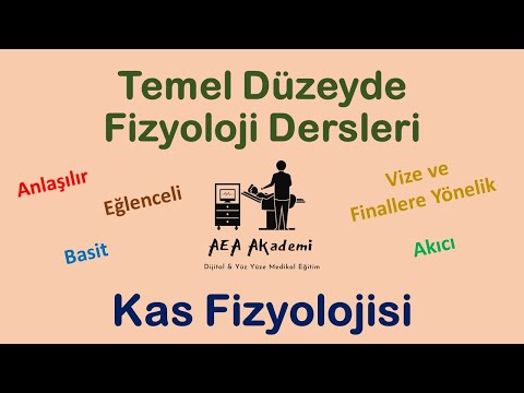 Temel Fizyoloji Dersleri (Kas Fizyolojisi - İskelet Kasının Fizyolojik Anatomisi)