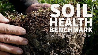 Soil Health Benchmarking in Alberta