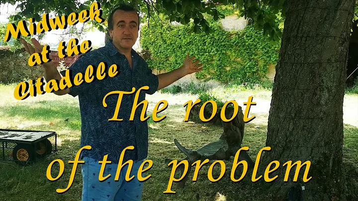 Midweek 10  -  The root of the problem
