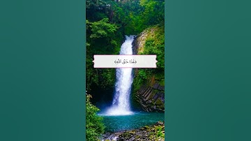 هذا خلق الله فأروني ماذا خلق الذين من دونه|سورة لقمان|فارس عباد |قرآن كريم