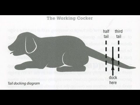 Docking Length Chart