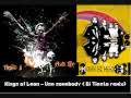 Kings of Leon - Use somebody (Tiësto remix)