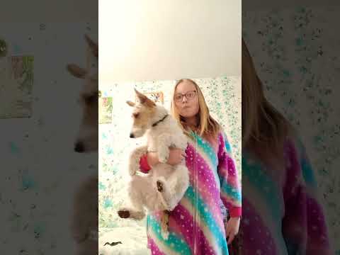 рыжая башка дай