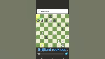 #chess #chessgame #chesscom #chessmaster #puzzle #dingliren #viral #checkmate #siciliandefense